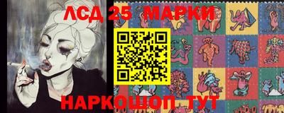 крисы Чебаркуль